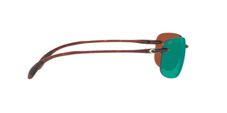 
  
    10 Shiny Tortoise | Green Mirror 580P
  
